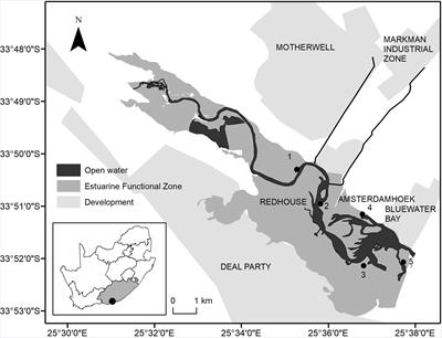 Rhizosediments of Salicornia tegetaria Indicate Metal Contamination in the Intertidal Estuary Zone